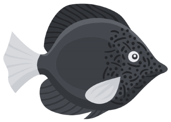 Fish 6